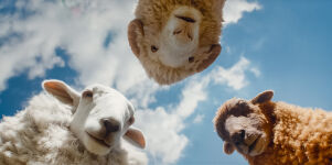 B�� team na stop�