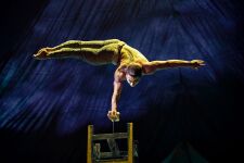 Cirque du Soleil: KOOZA