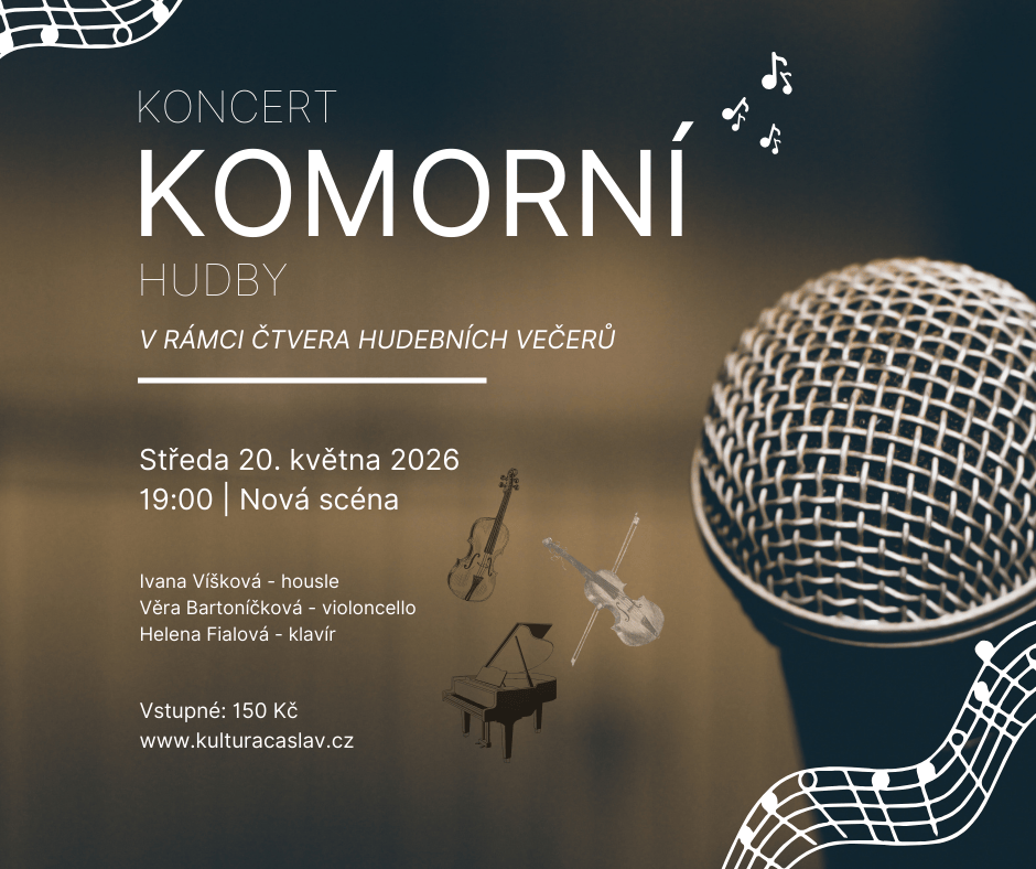 Koncert komorn� hudby
