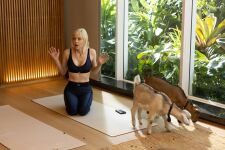 Wellness v�kend