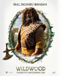 Wildwood: Tajemstv� zak�zan�ho lesa