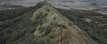 Wirbel