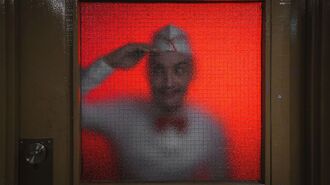 zmrzlinar-475582